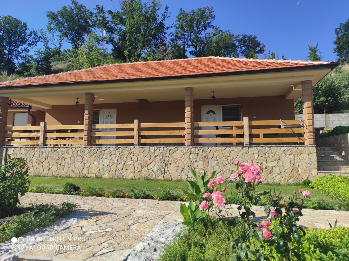 Vila Vera Borsko Jezero Bagian luar foto