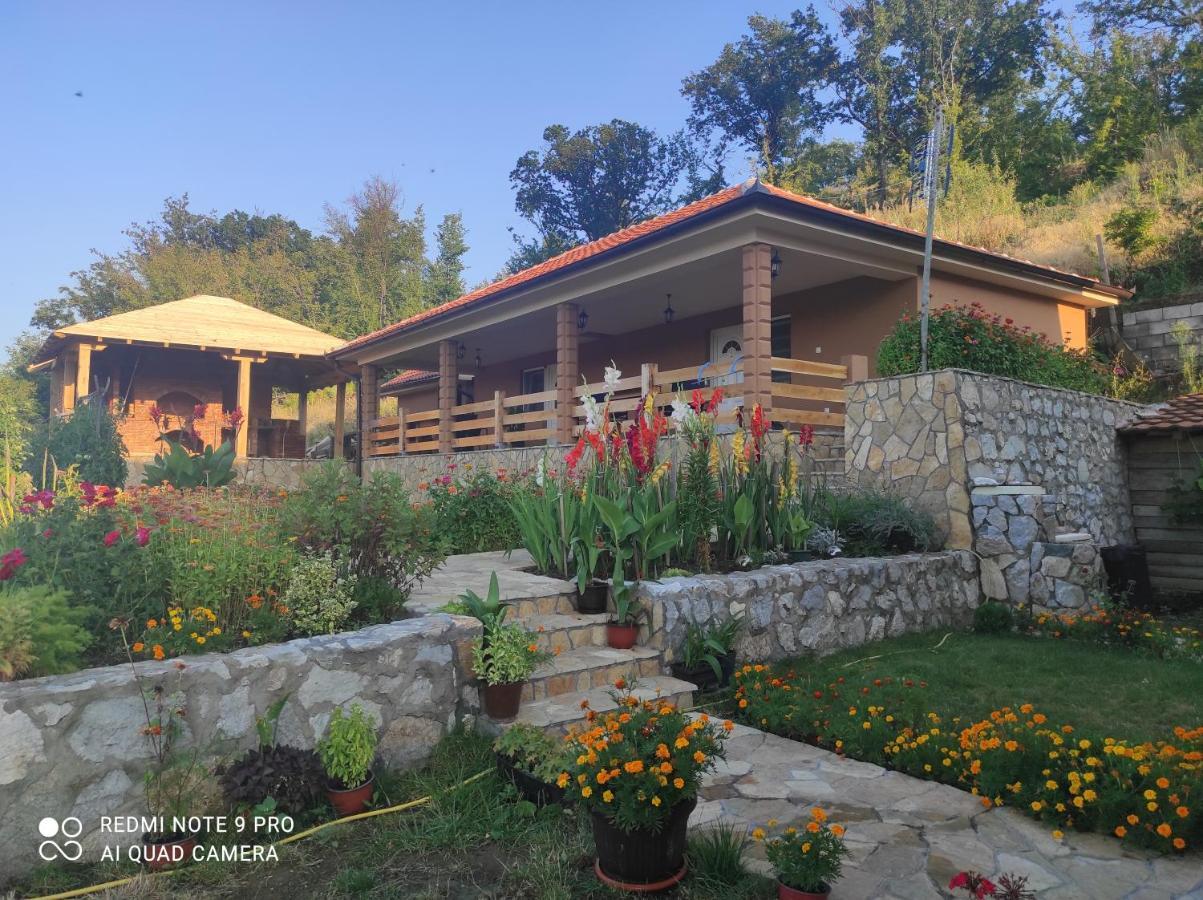 Vila Vera Borsko Jezero Bagian luar foto